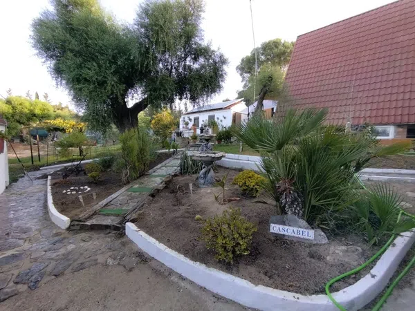 Finca rústica en Calle Cascabel s/n - Foto 6