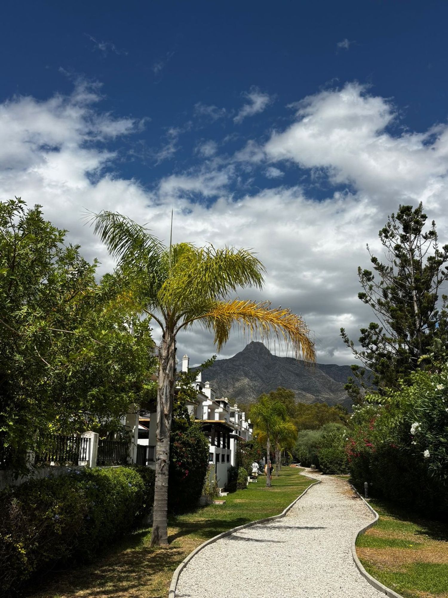 Chalet pareado en Urb. Los Naranjos de Marbella, 8 - 15, La Dama de Noche-La Alzambra - Foto 2