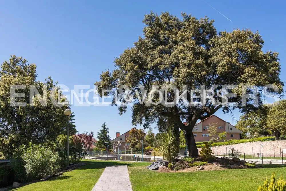Estudio en Villaviciosa de Odón - Foto 11