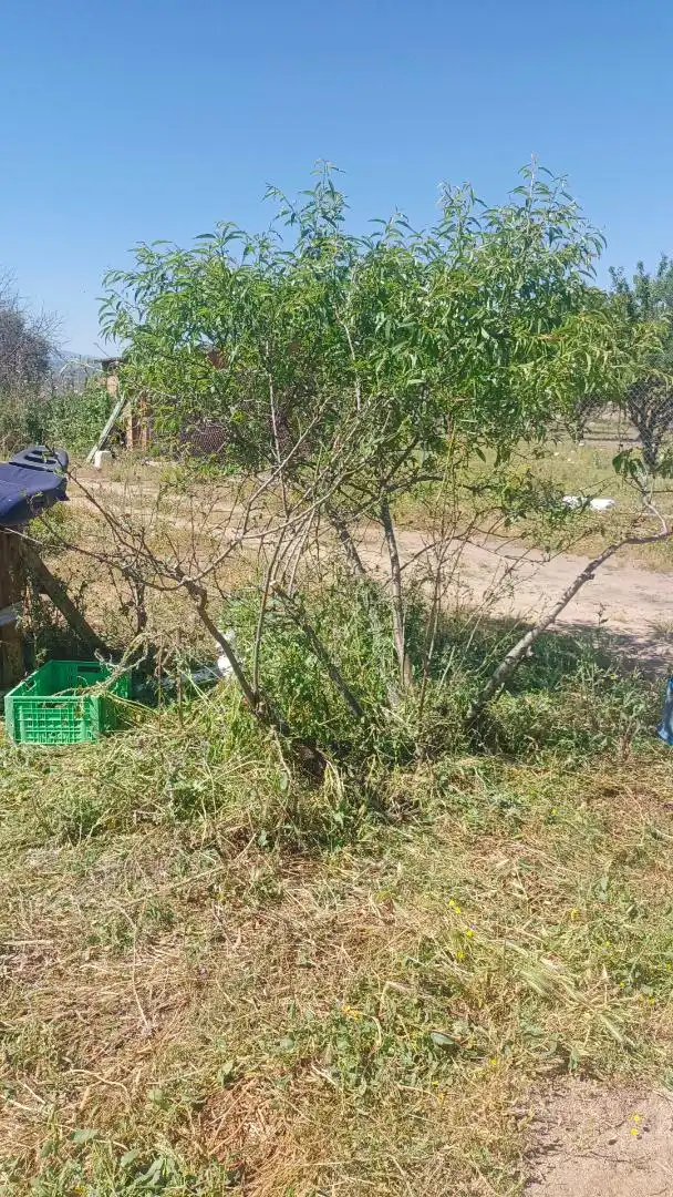 Finca rústica en  Calle Los Pozos 21 - Foto 3