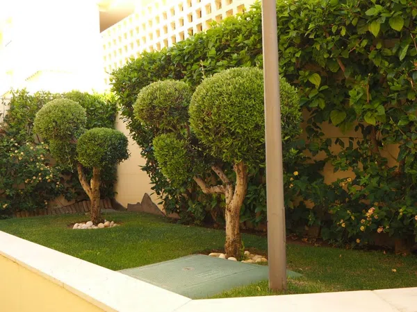 Piso en Avenida de la Encarnación, 11, Zona Sohail, Zona Sohail - Foto 21