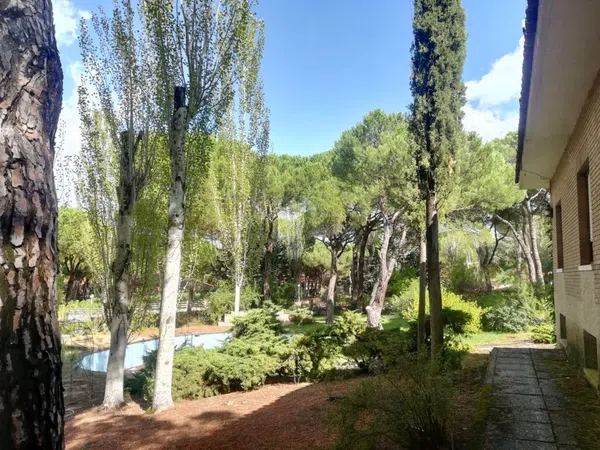 Casa o chalet independiente en Calle Arévalo, 75 - Foto 12