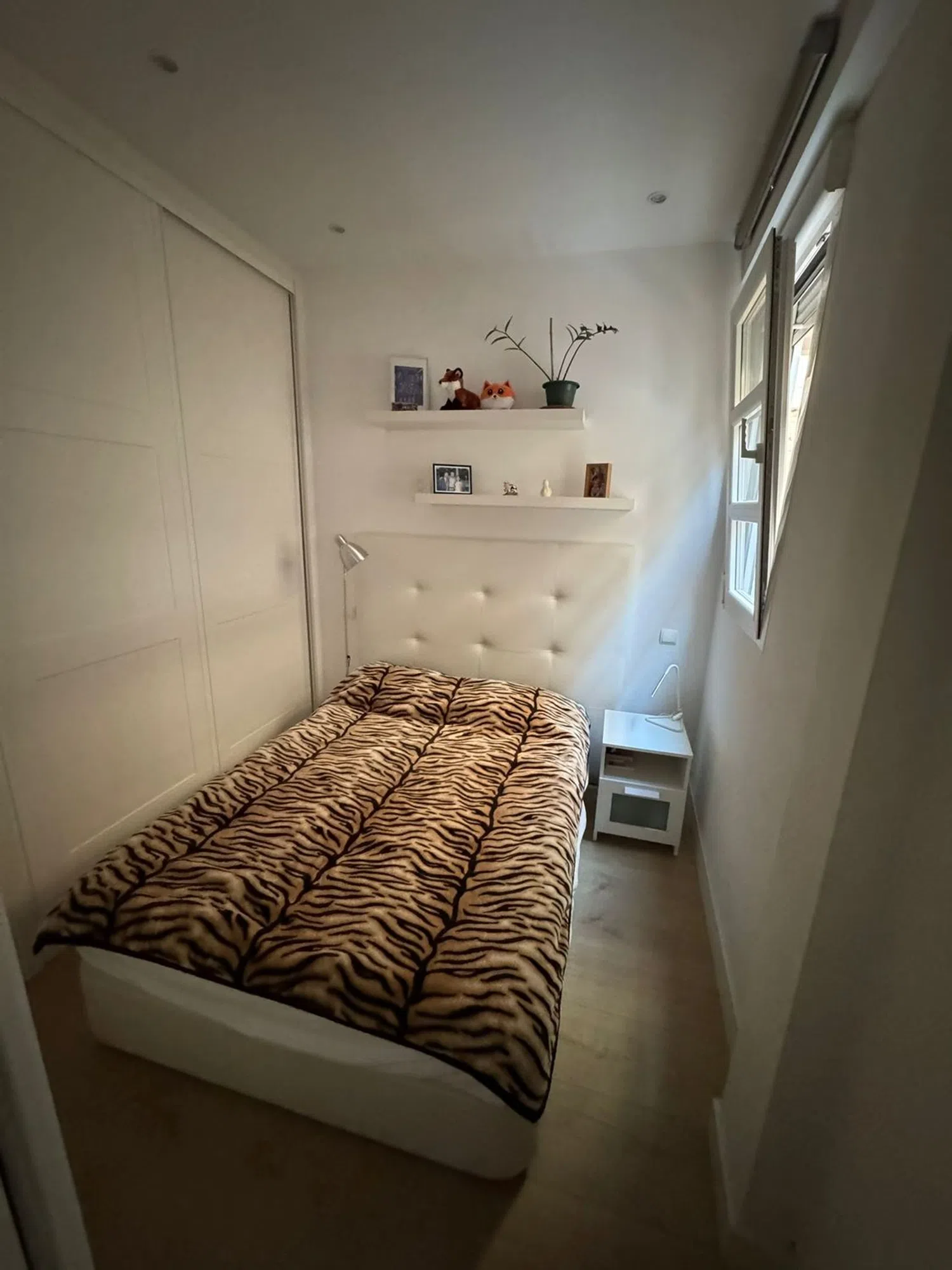 Estudio en calle de Narciso Serra, 5 - Foto 5