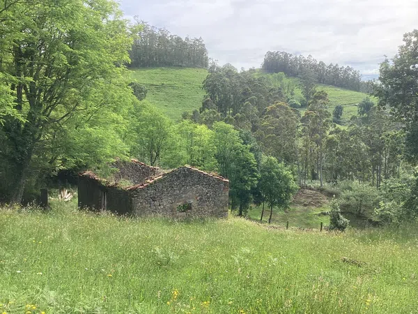 Casa rural en Avenida Alisas, 3 Km - Foto 17