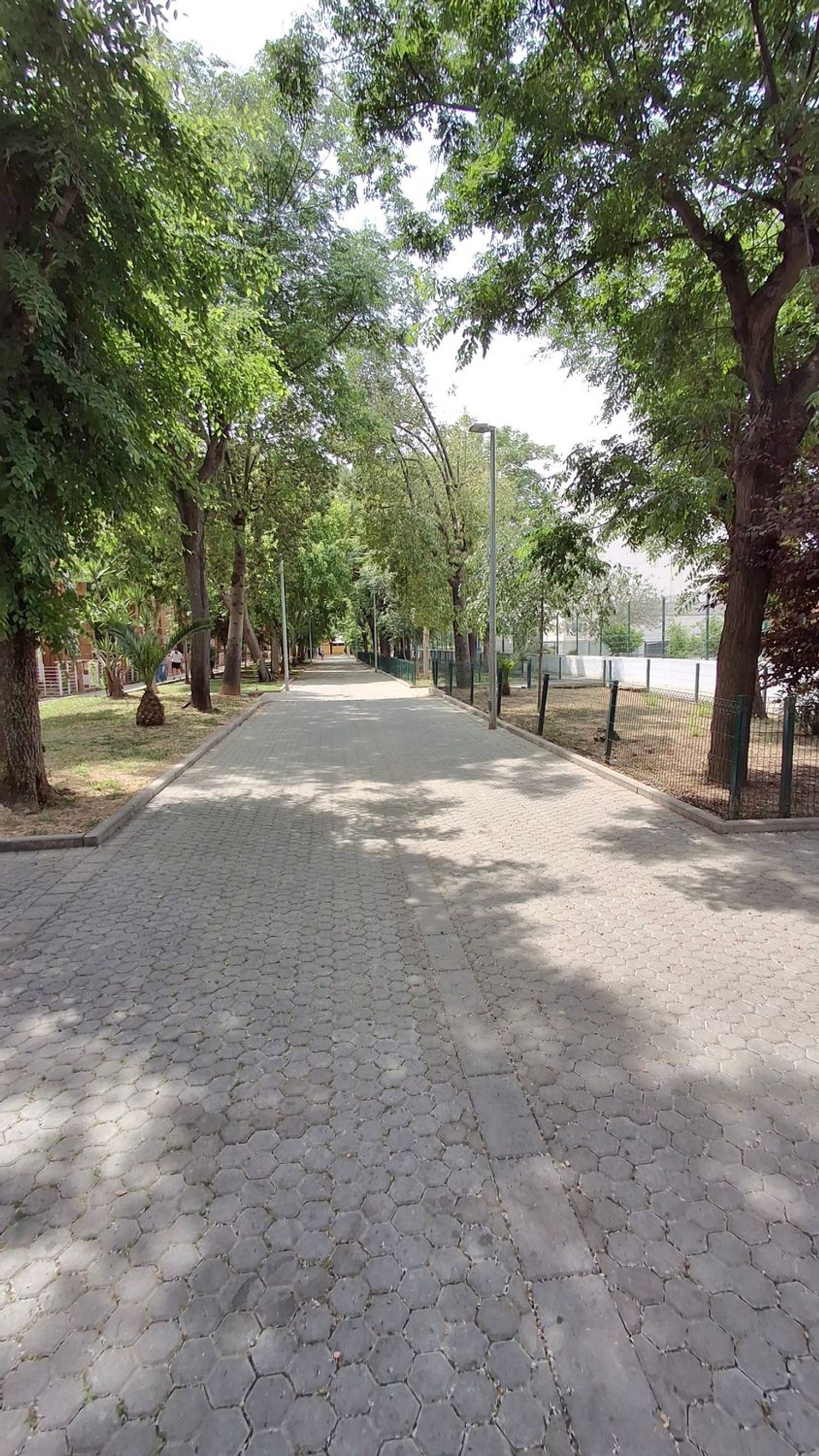 Chalet adosado en Avenida de las Ciencias - Foto 3
