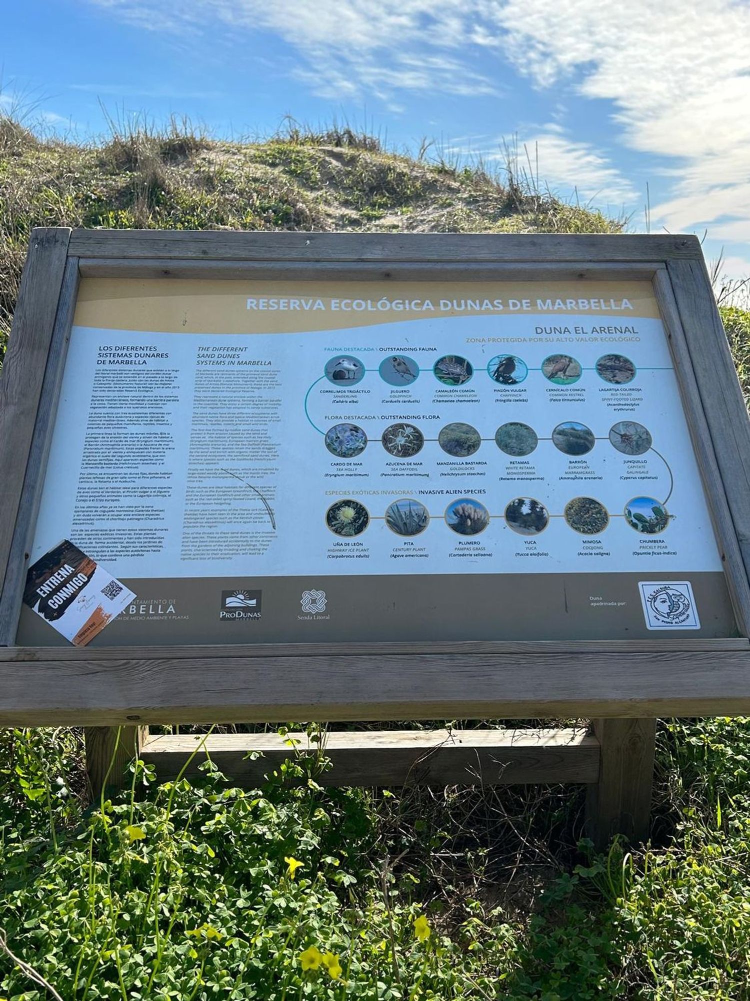 Piso en calle Temporal, 2 - Foto 13