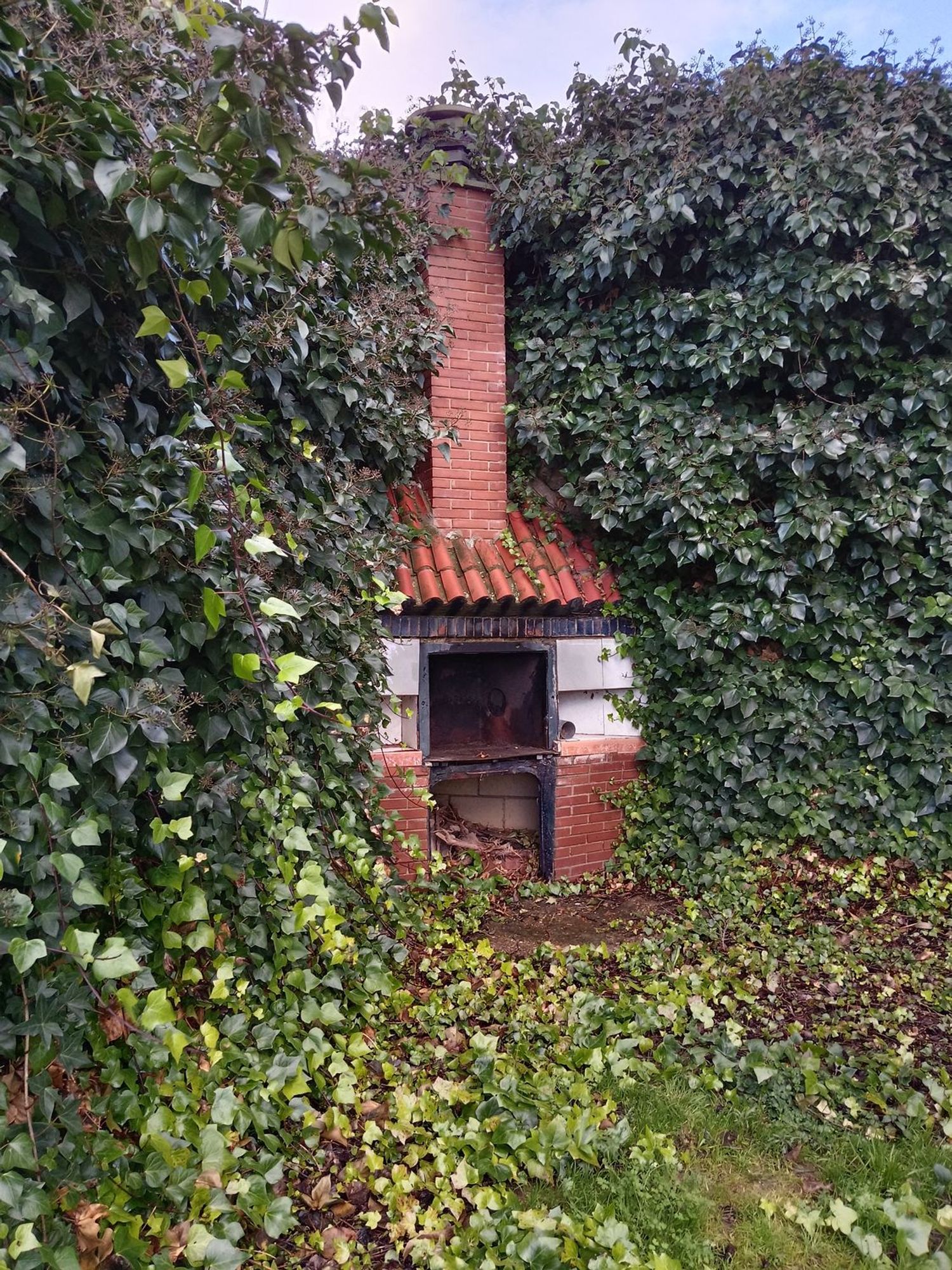 Finca rústica en camino Fuente la Junquera s/n - Foto 20