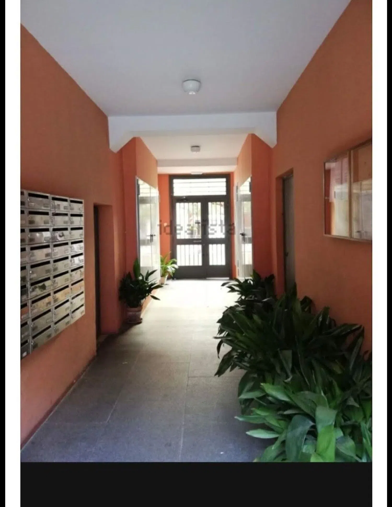 Estudio en tribulete, 25 - Foto 14