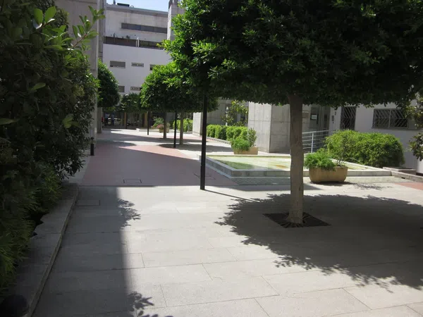 Piso en Calle Rafael de la Hoz Arderius, 4 - Foto 7