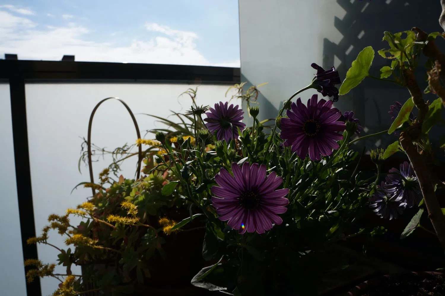 Ático en calle de Pere IV, 201 - Foto 38