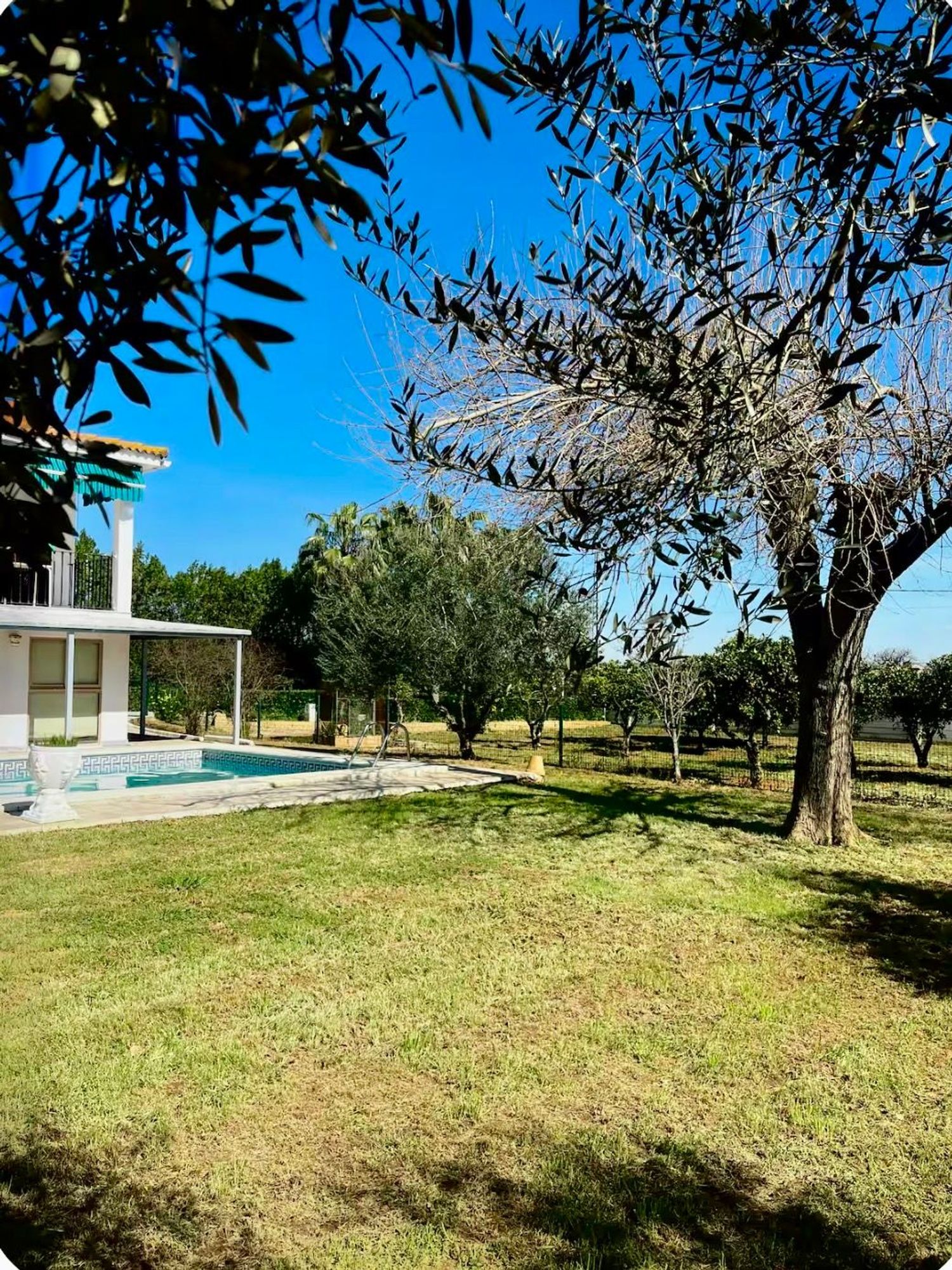 Casa o chalet independiente en Camino de alcarraites s/n - Foto 15