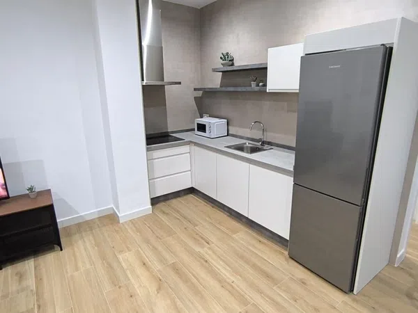 Piso en calle Ángel Falquina, 3 - Foto 3