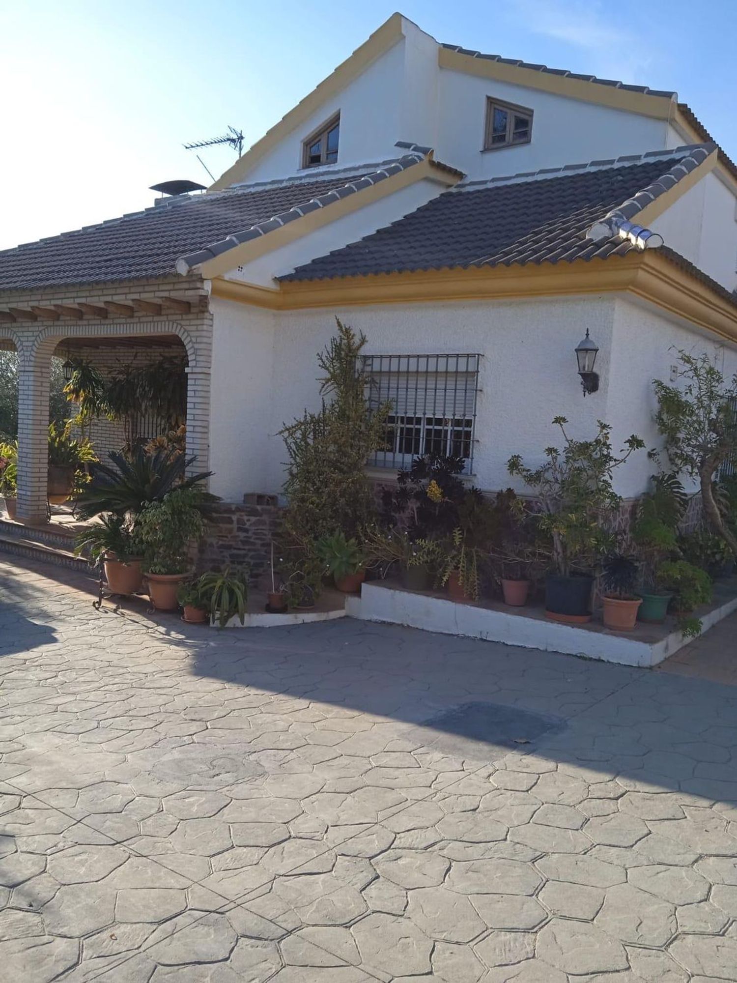 Finca rústica en Calle Sócrates, 56 - Foto 7