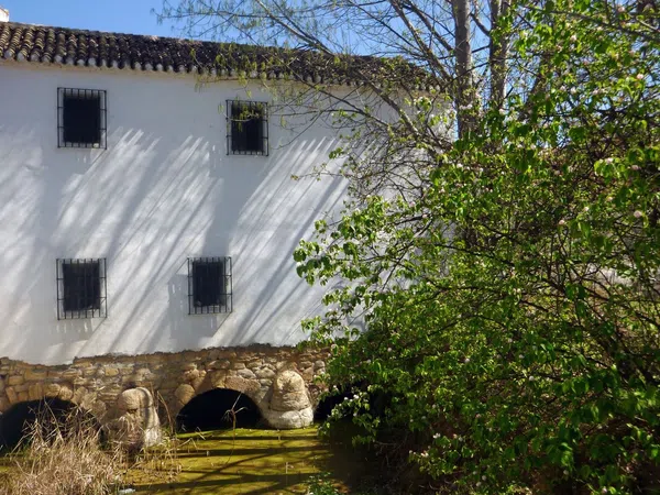 Cortijo en Calle Molino, 1 - Foto 16