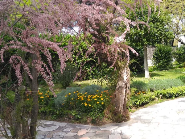 Casa o chalet independiente en Calle Estio, 7, Arcas Reales - Pinar del Jalón, Arcas Reales - Pinar del Jalón - Foto 5