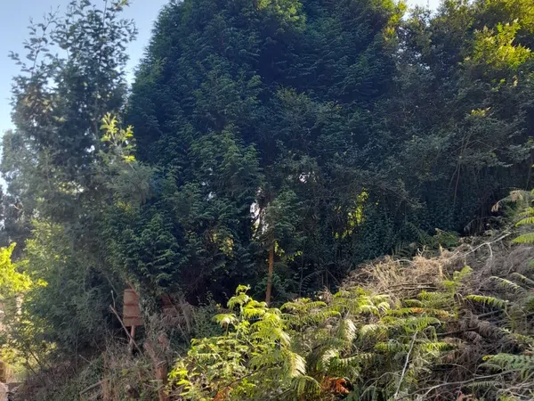 Casa de pueblo en Agones, 106 - Foto 30