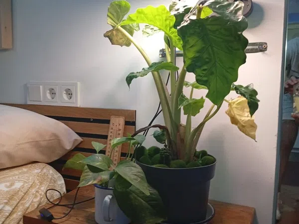 Piso en calle d'Avinyó, 42 - Foto 27