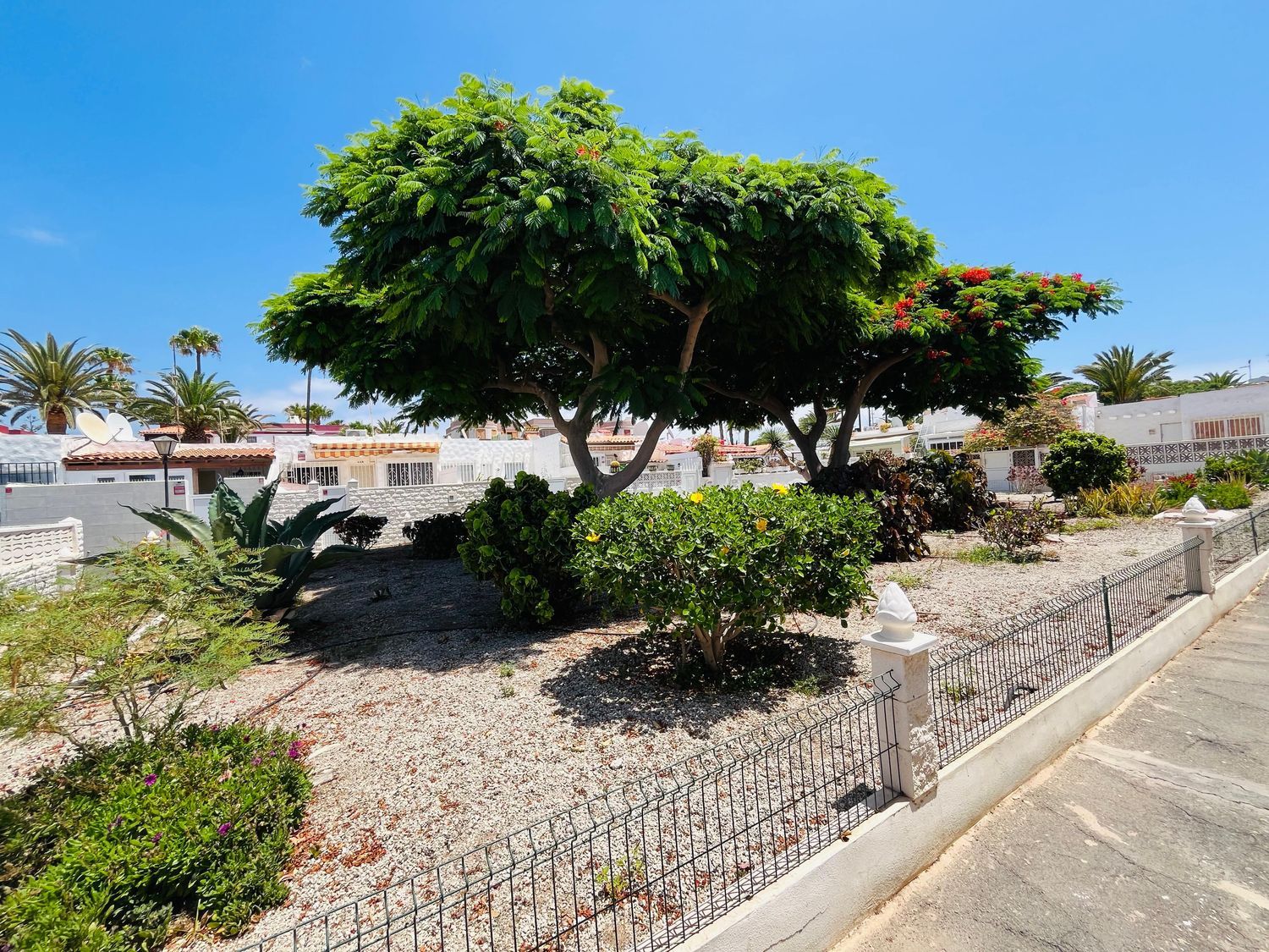 Piso en avenida Jose Antonio Tavio, 9 a - Foto 14