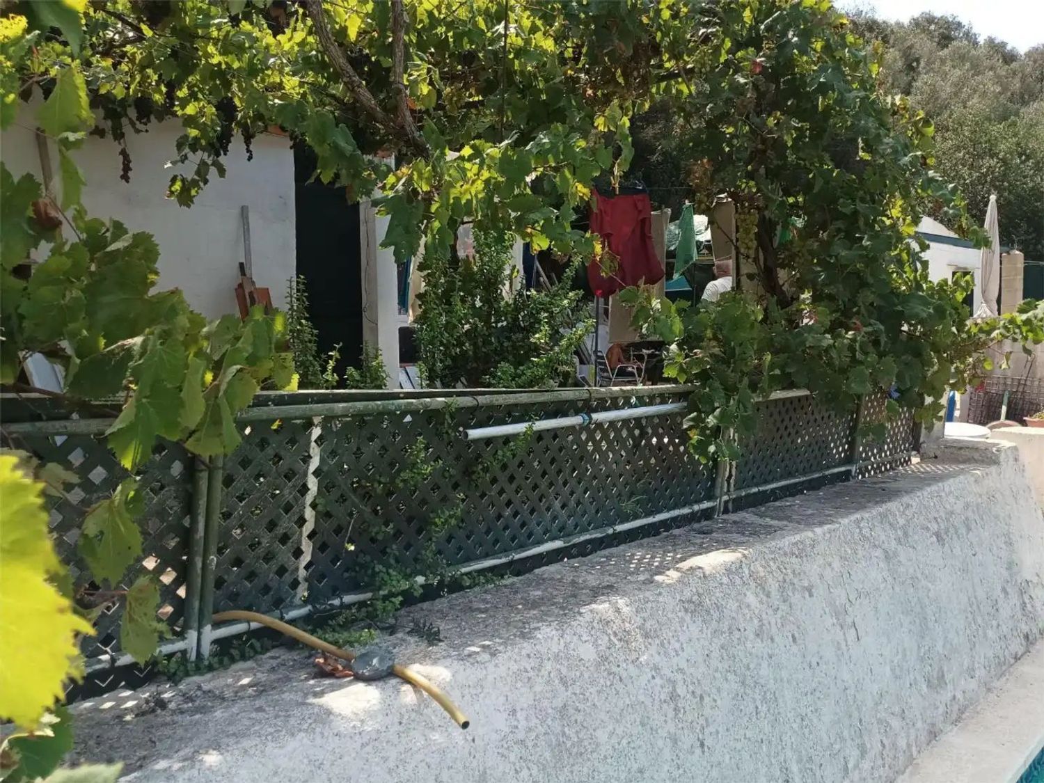 Casa o chalet independiente en Calle de l'Amazònia, 40 - Foto 6