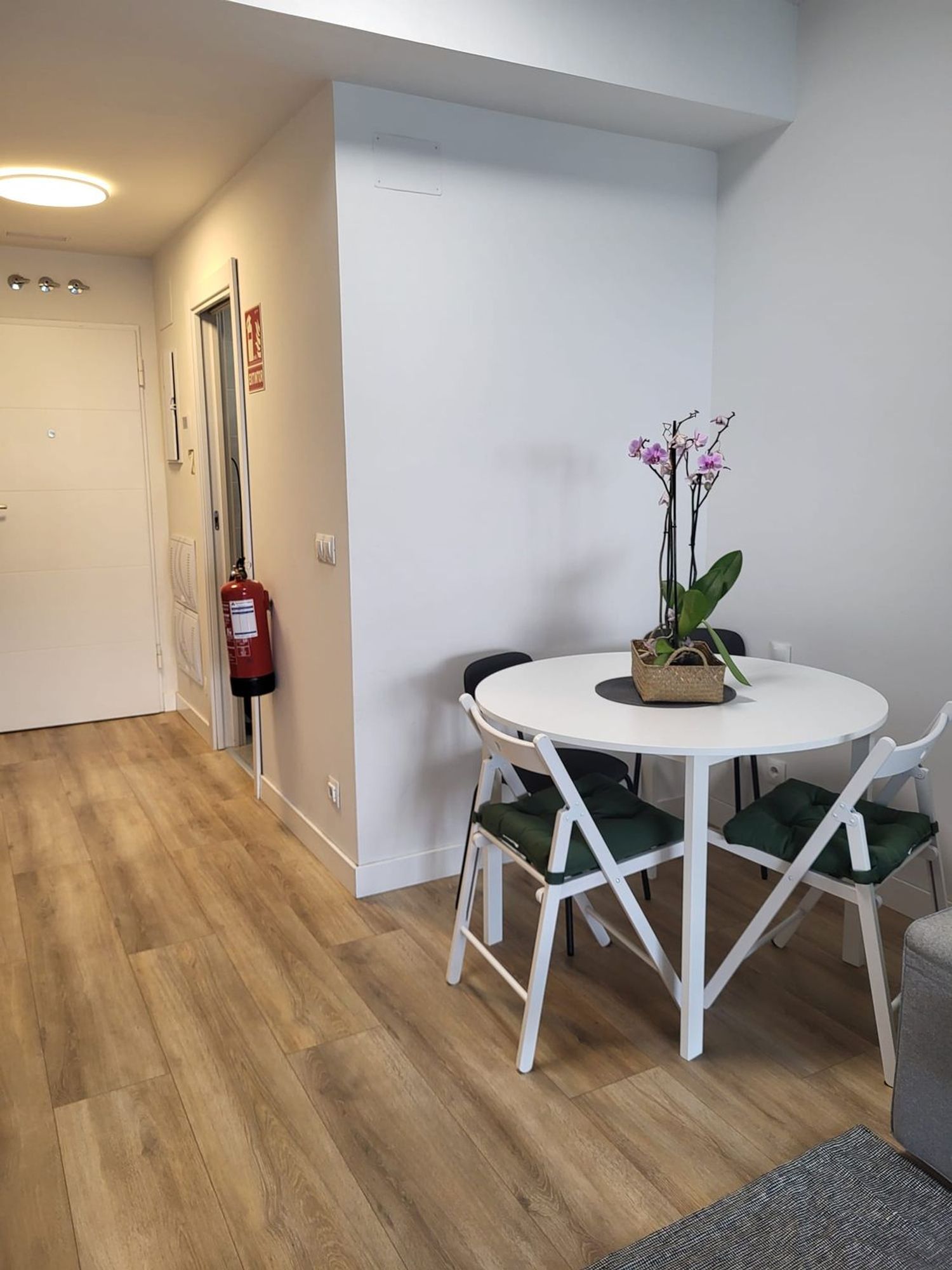 Estudio en paseo de Europa, 30 - Foto 13