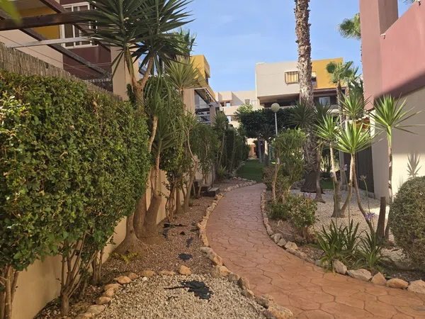 Piso en Urb.el bosque, 3, Playa Flamenca - Foto 21