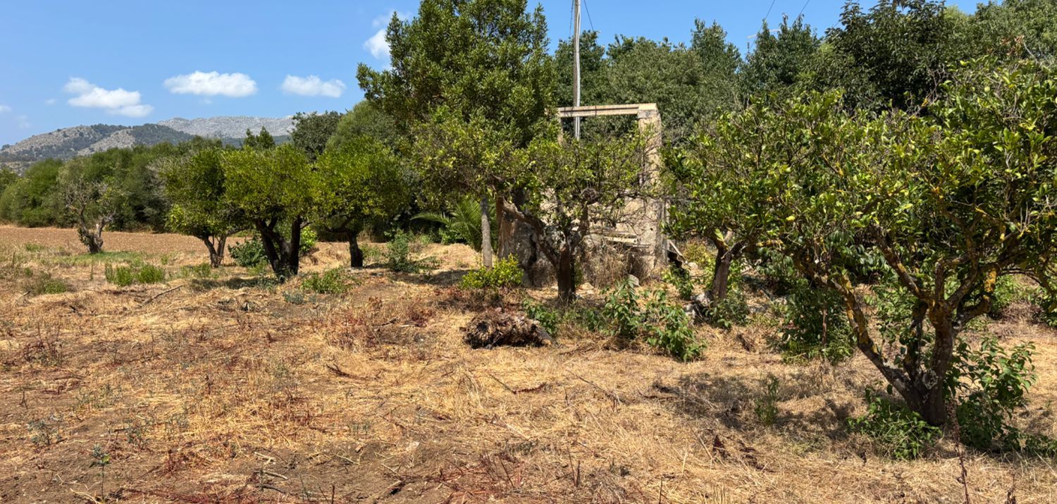 Finca rústica en Santuiri, 2 poligonoparcela, Pollença, Pollença - Foto 20