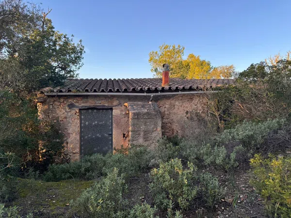 Finca rústica en Camino CamÍ de Son Bernat s/n - Foto 1