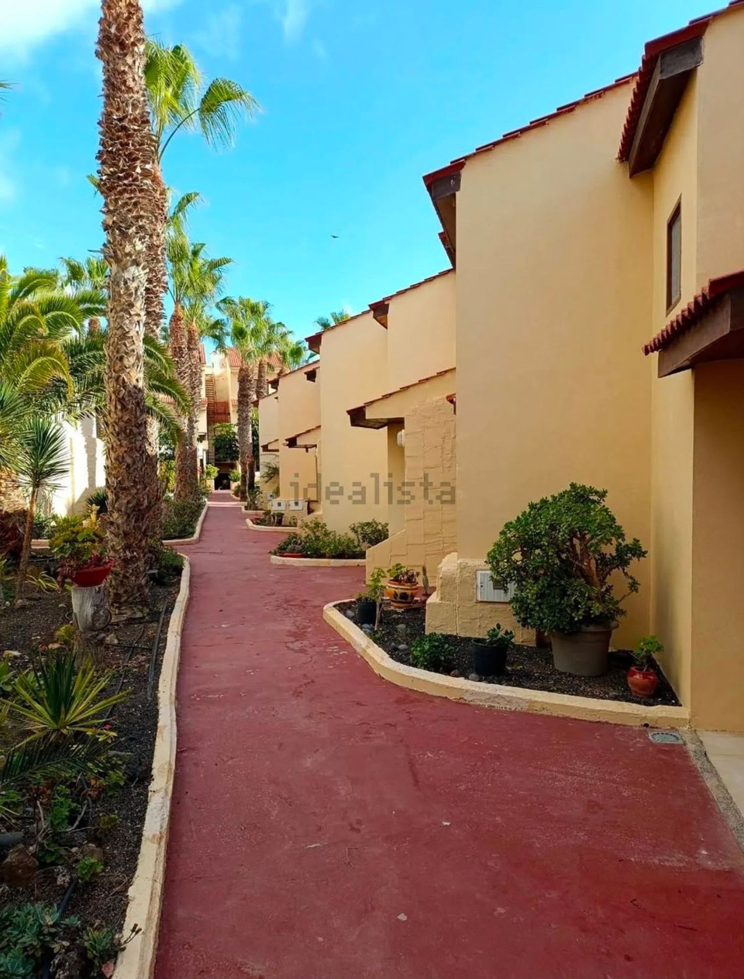 Casa o chalet independiente en parque holandes, 30, Parque Holandés - Foto 12
