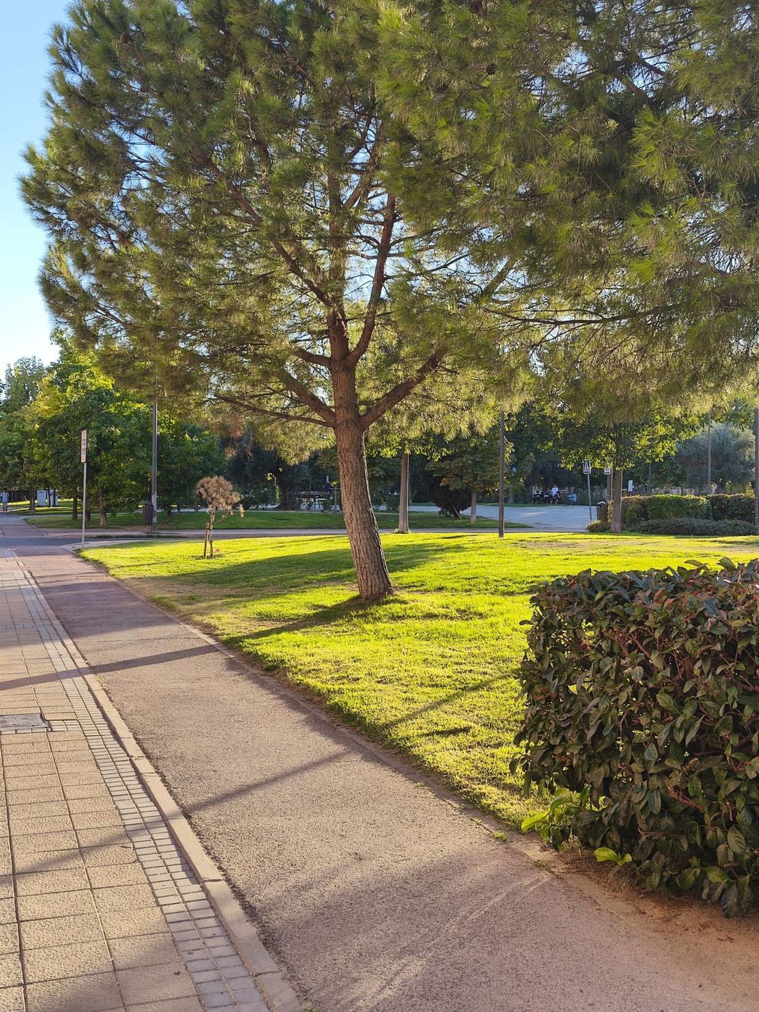 Piso en Avenida de Chile, 4, El Bercial, El Bercial - Foto 28