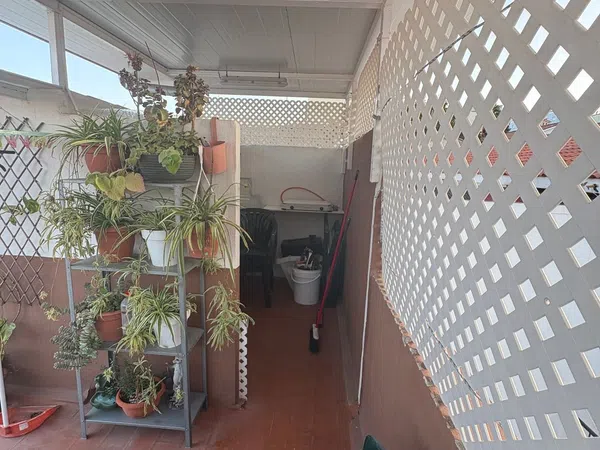 Casa o chalet independiente en Calle Chío, 12, La Salud - Foto 12