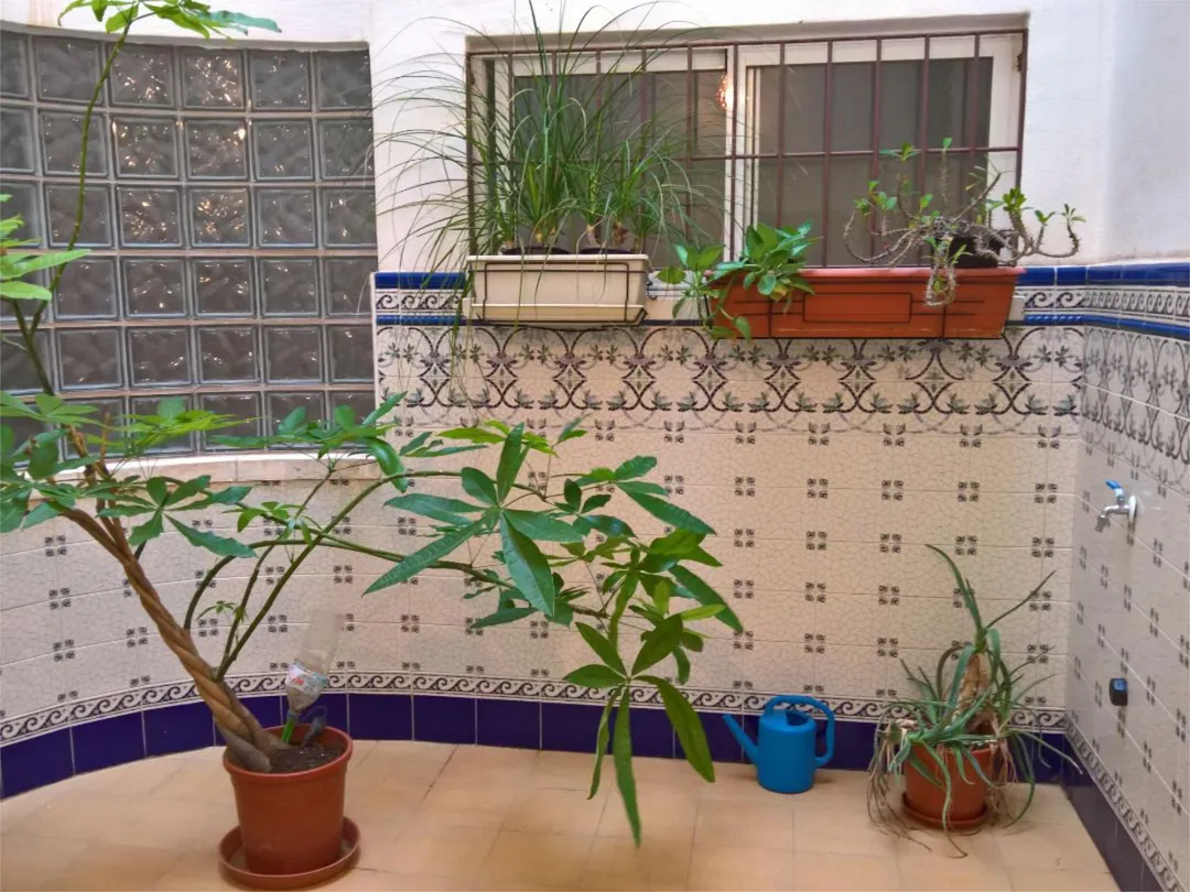 Piso en  Carrer Biar 17 - Foto 17