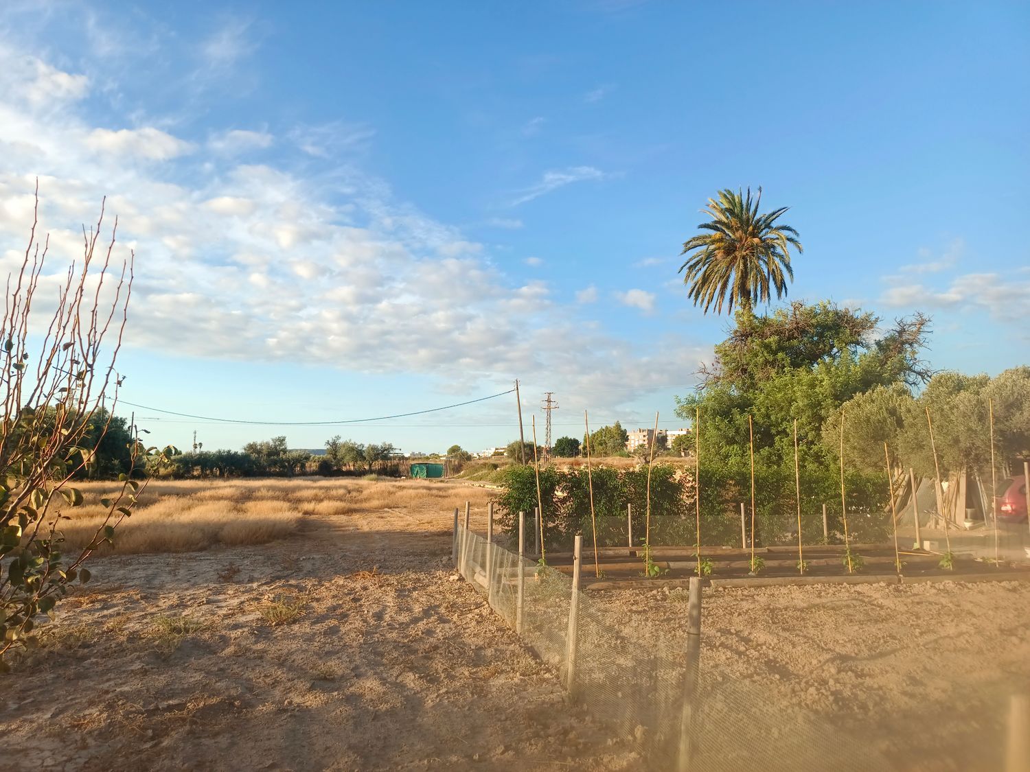 Casa rural en Partida Les penyetes polígono 9 parcela 150, 14, Centro, Centro - Foto 7