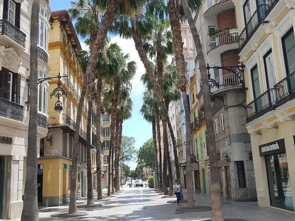 Piso en Calle Nueva, La Florida - Parque norte - Foto 2
