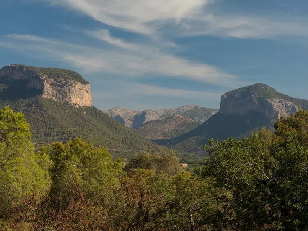 Finca rústica en Alaró - Foto 6
