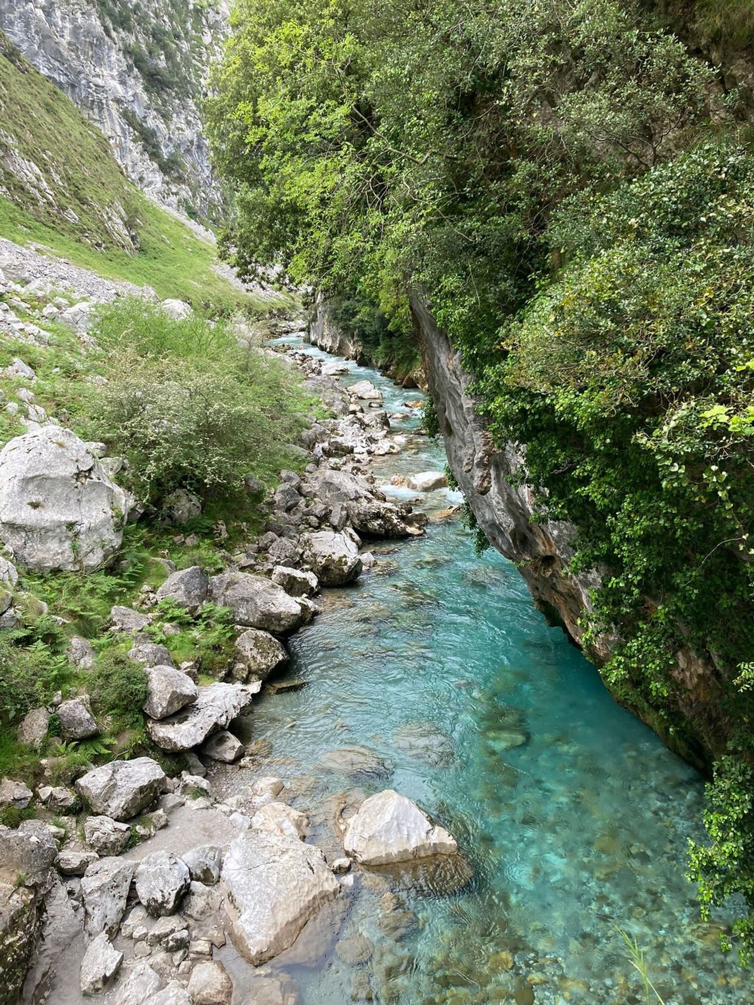 Piso en Cabrales - Foto 18