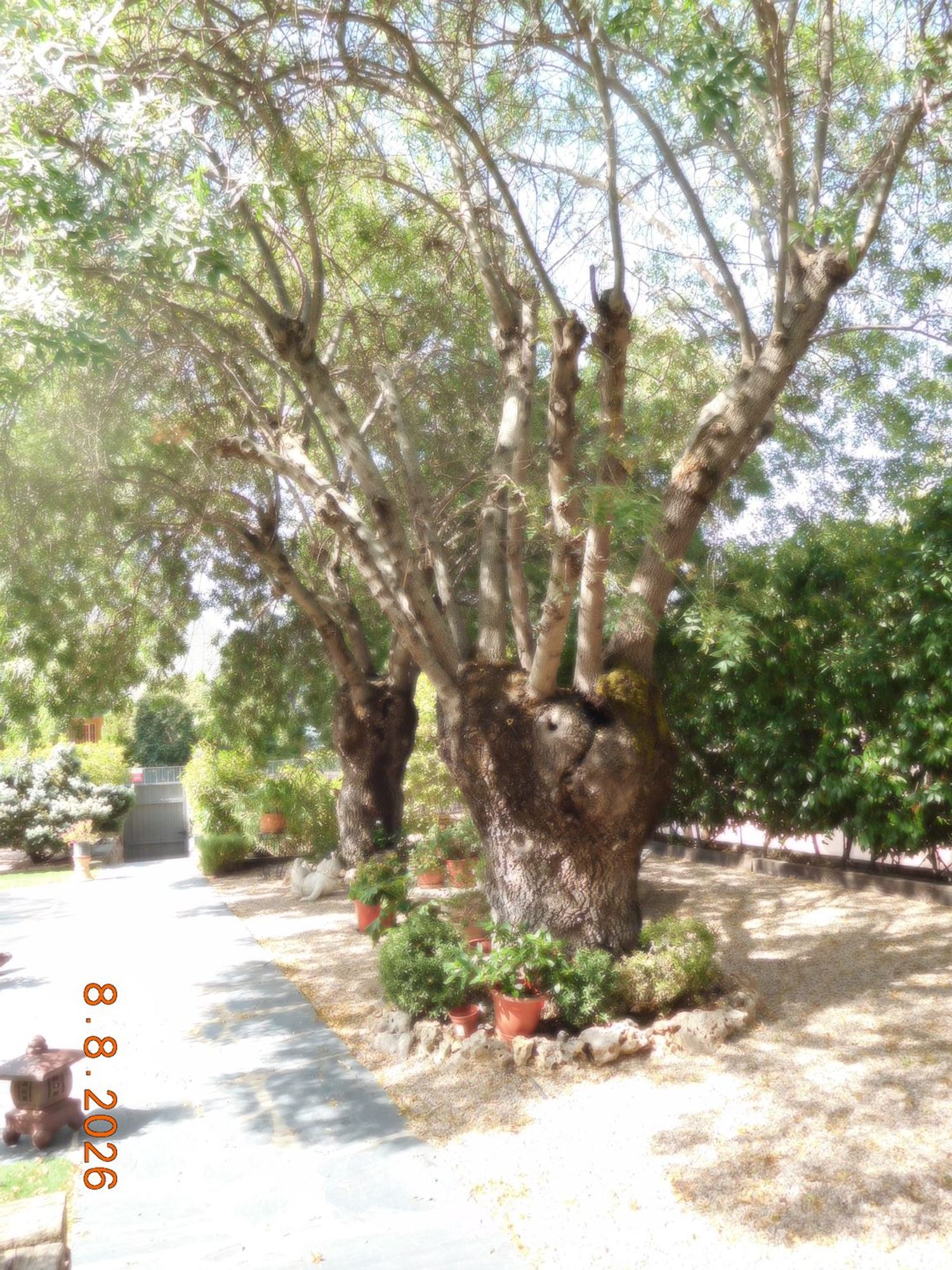 Casa o chalet independiente en Navalquejigo - Los Arroyos, Navalquejigo - Los Arroyos - Foto 11