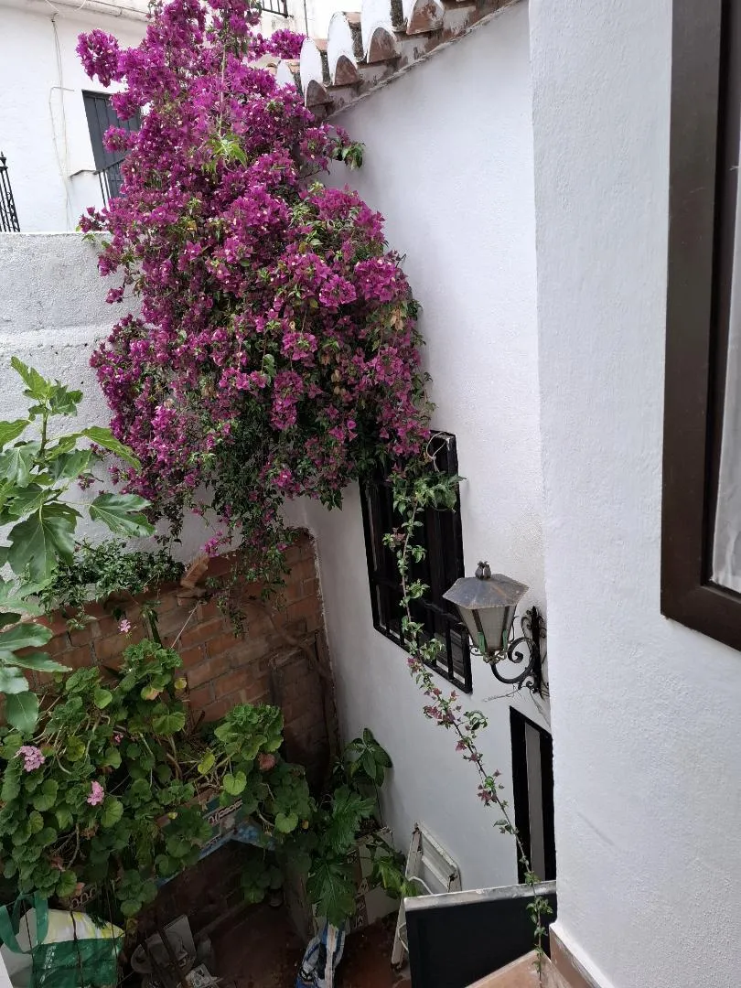 Chalet en  Calle Larga de San Cristóbal 18 - Foto 28