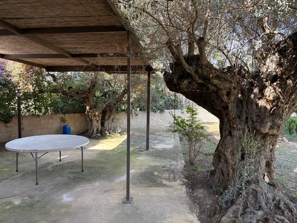 Casa independiente en Centro - Foto 21