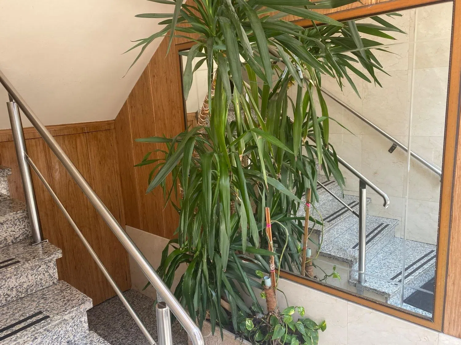 Piso - Foto 6