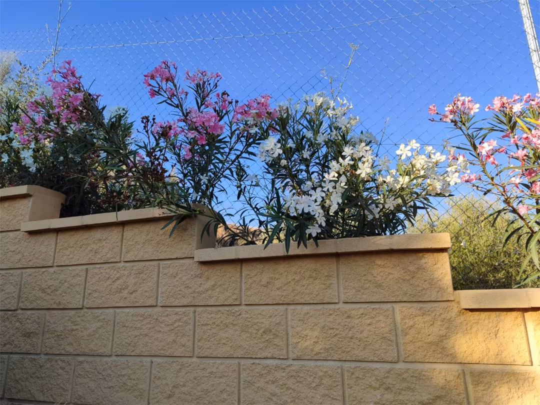 Apartamento en  Camino la Bolaera 13 - Foto 27