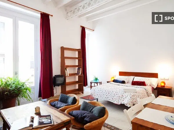 Estudio en Rambla La, El Raval - Foto 2