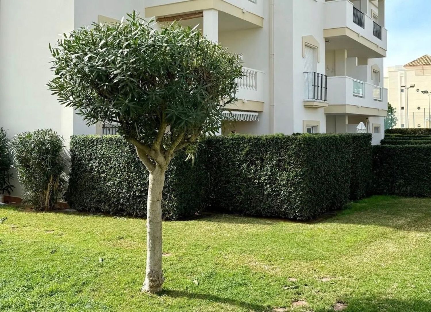 Piso en Calle Mar Adriatica, 8, El Palmar-Los Molinos - Foto 12