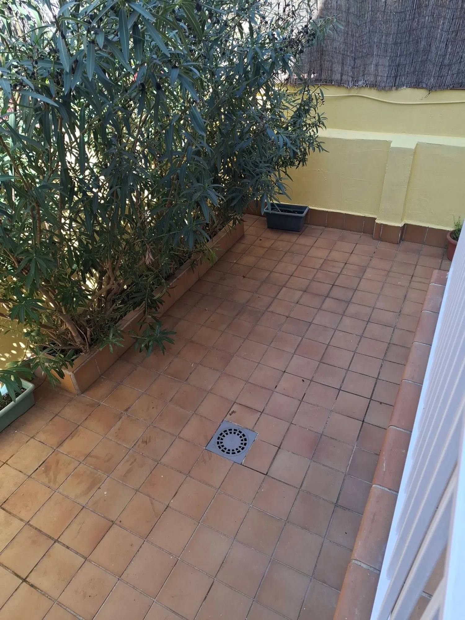 Chalet pareado en Barrio Ciudad Jardín - Foto 4