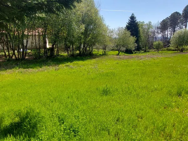 Casa o chalet independiente en Carretera Forestal de la Pregonera, 924 Av - Foto 8