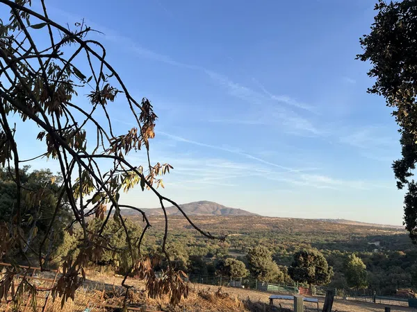 Finca rústica en C. de los Cendros, 1 - Foto 7