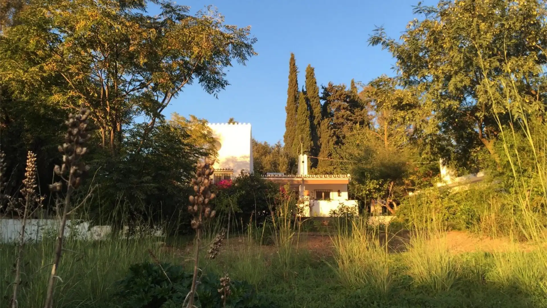 Chalet en  Calle de la Palmera 6 - Foto 14