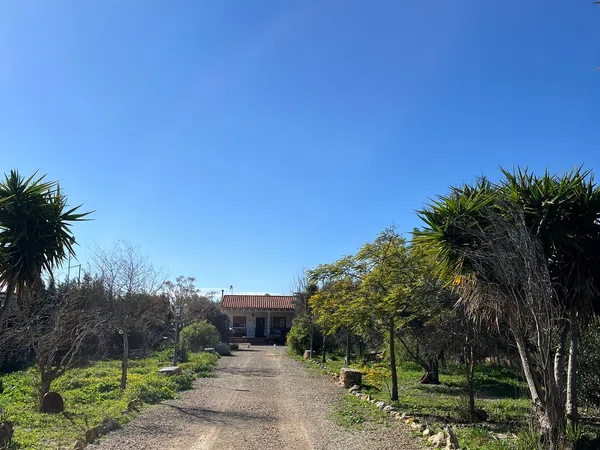 Casa o chalet independiente en Camino Hondo, 115 - Foto 1
