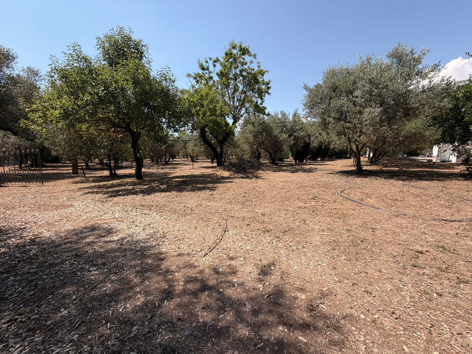 Finca rústica en poligono 9 parcela, 32 - Foto 29