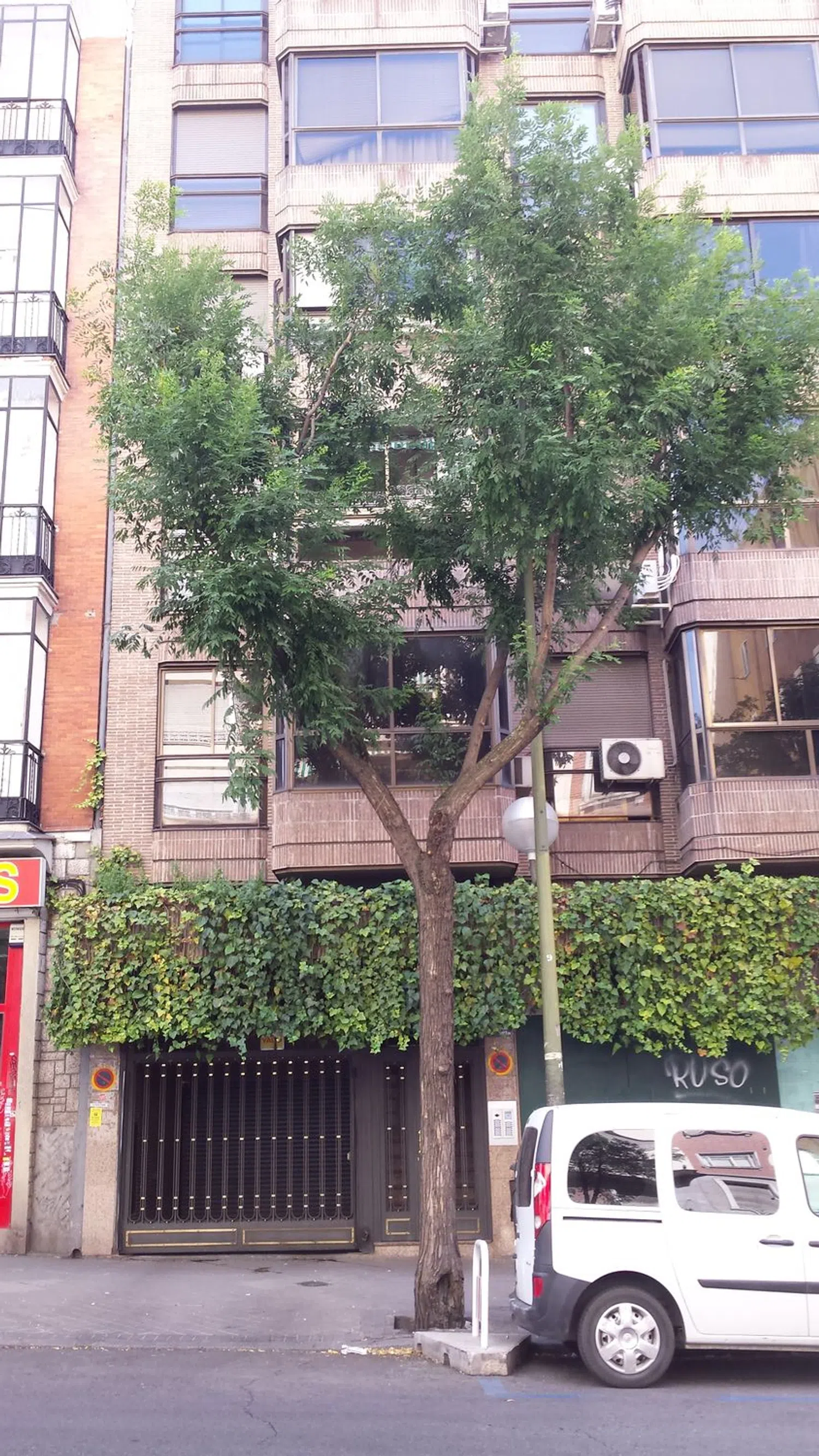 Piso en calle de guzmán el bueno, 16 - Foto 1