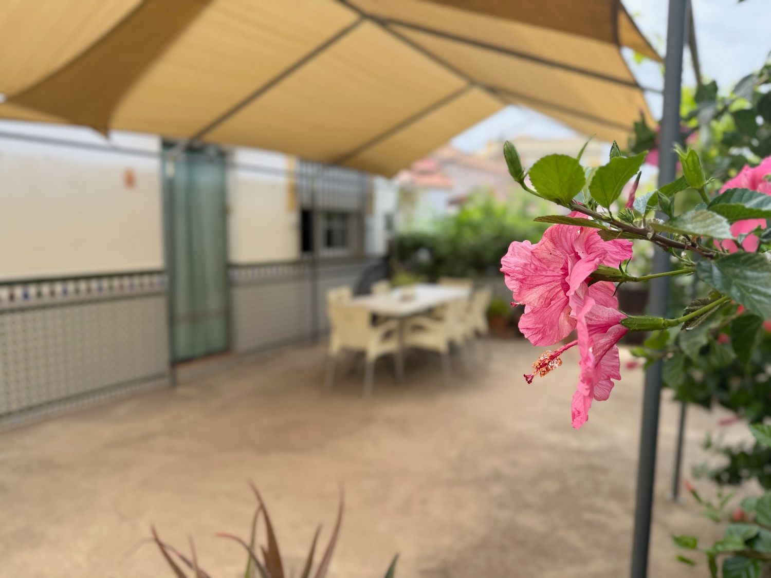 Chalet pareado en Avenida de Juan Grande, 4, Huerta Nueva - Jardín de Málaga - Foto 28